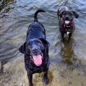 12004100_10207841167255477_4632956895040267280_n