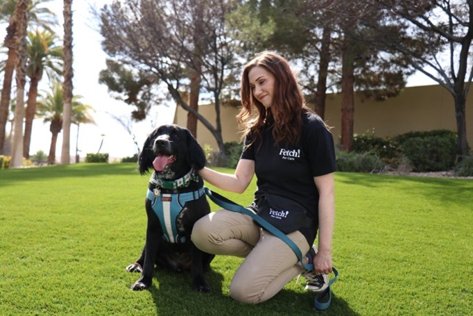Find the perfect pet sitter for the summer with Fetch! Pet Care