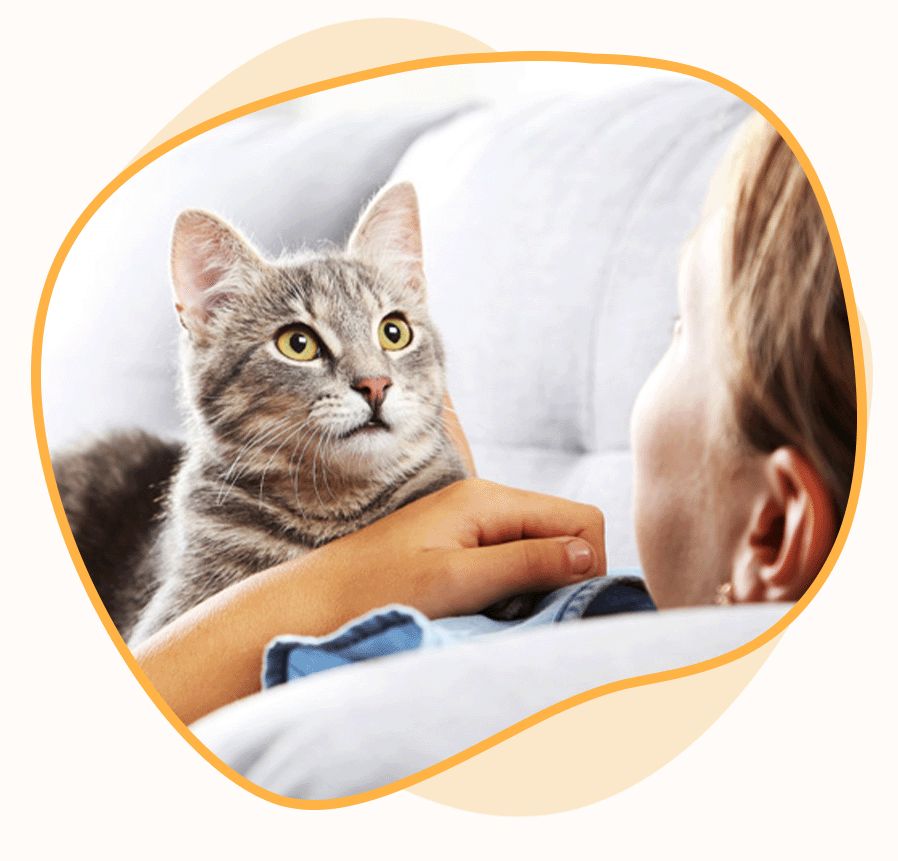 A cat lying on a person's chest