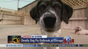 Screen Shot 2015-05-07 at 3.32.49 PM