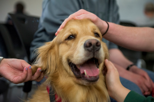 Screen Shot 2015-08-22 at 2.57.13 PM